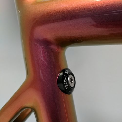 Close up of the new seatpost binder from the TX6.5